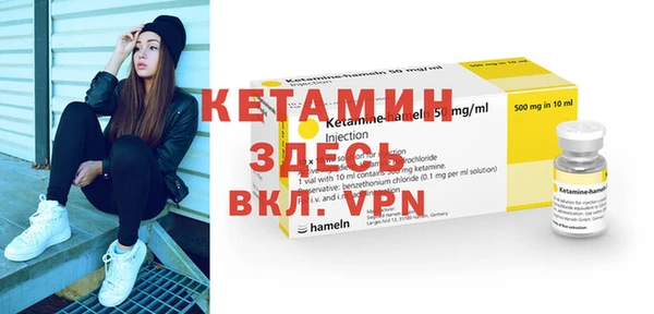 прущие грибы Гвардейск