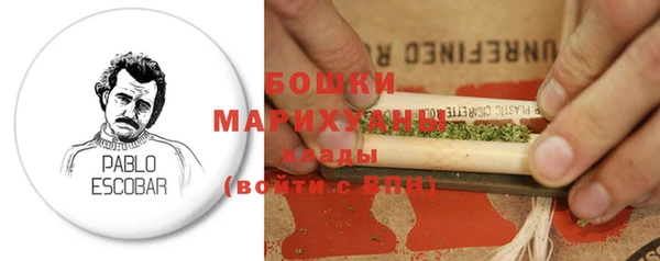 стаф Покачи
