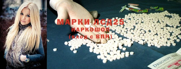 стаф Покачи