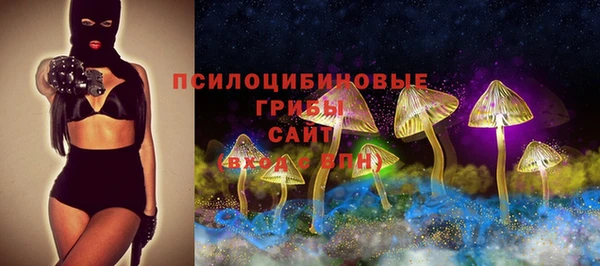 спайс Гатчина