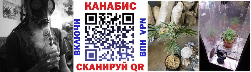 Каннабис планчик  Кондрово 